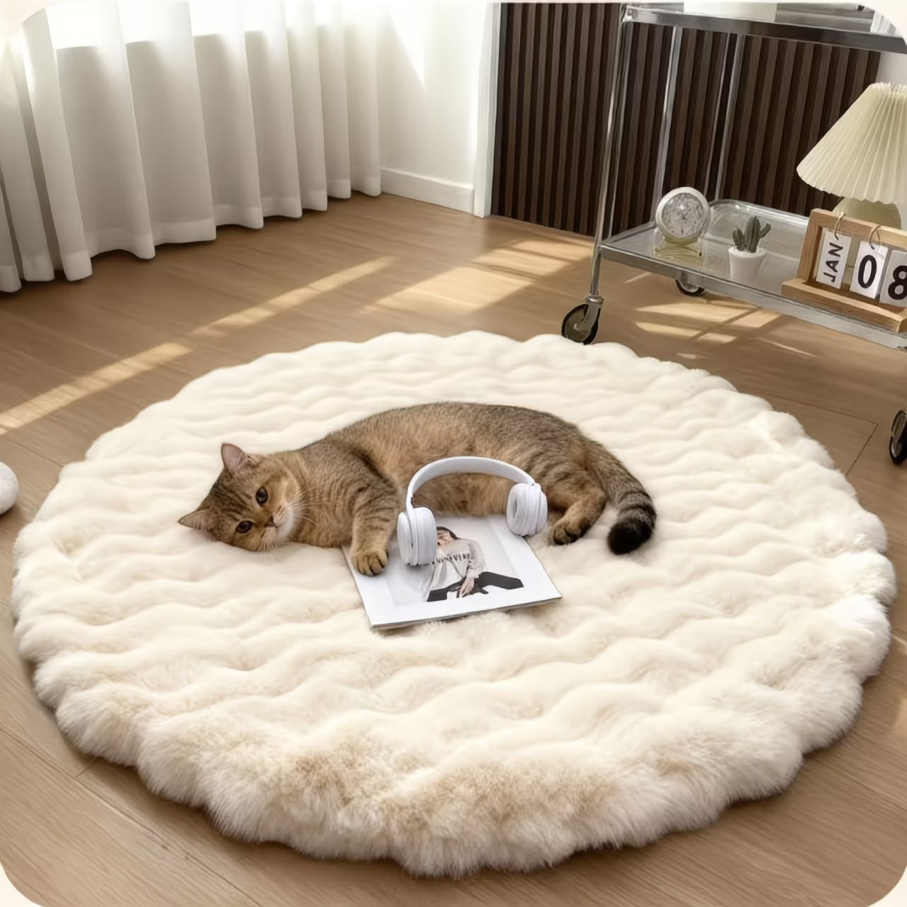 Premium Fluffy Cat Area Rug - Ultra-Soft & Machine Washable Decorative Carpet