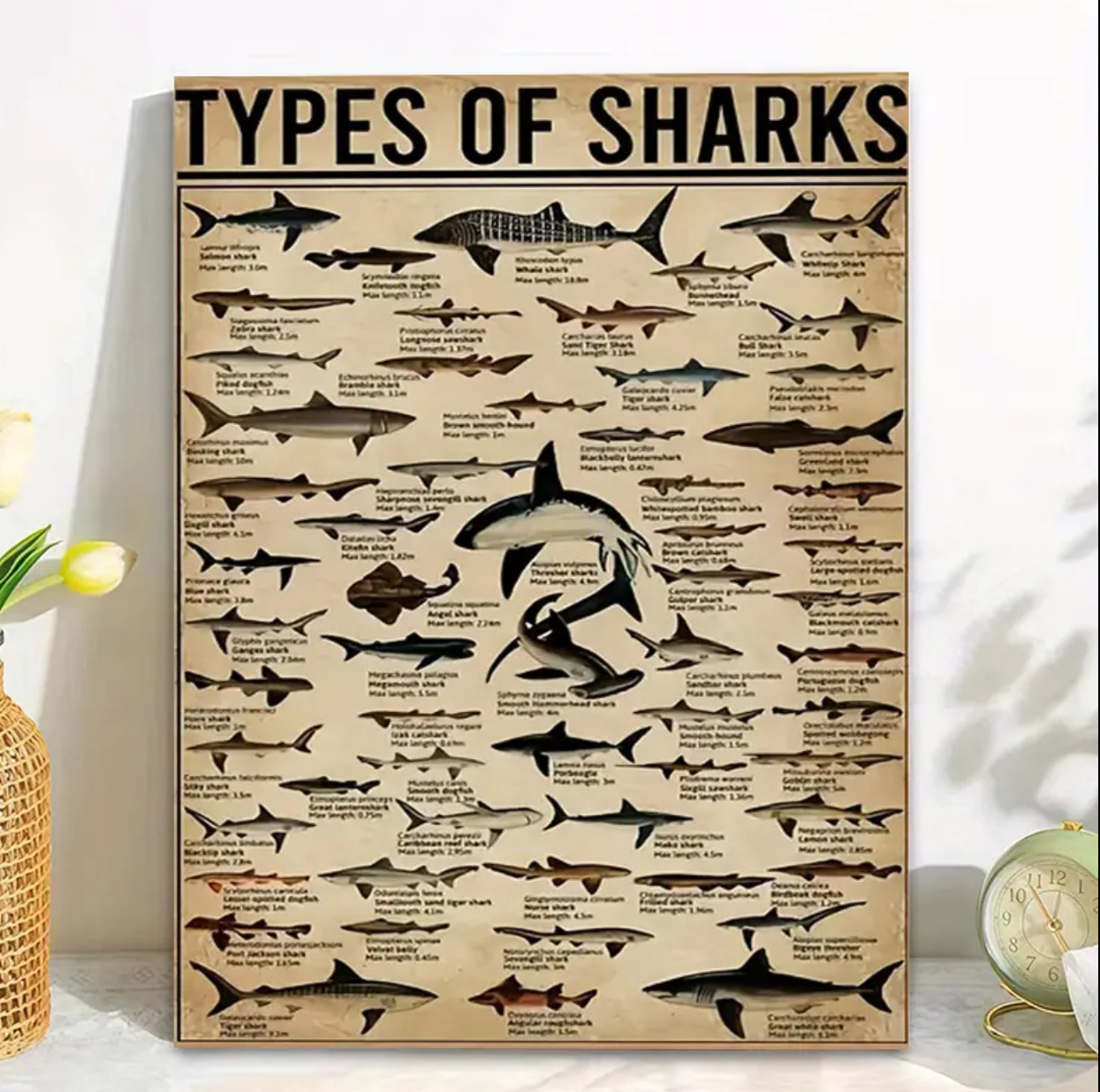 Majestic Ocean Shark Framed Canvas Wall Art - Premium 40x50cm Bathroom & Home Decor