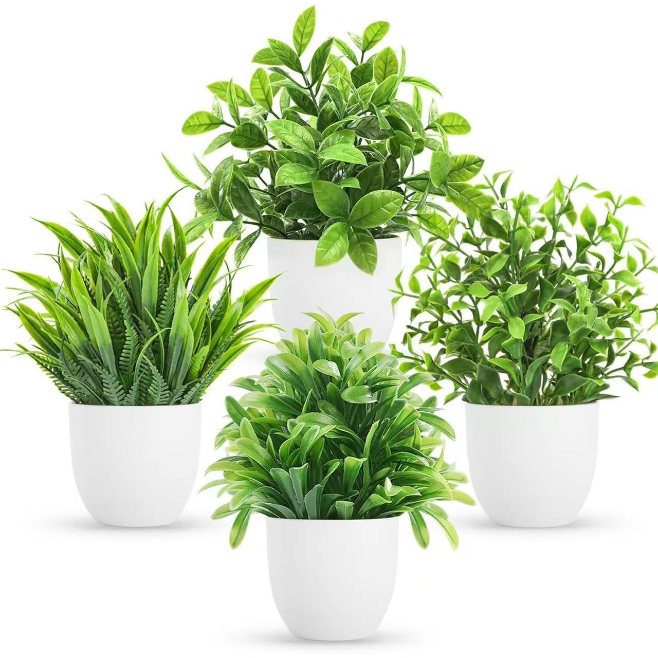 Eucalyptus Aglaonema Grass And Cyperus Papyrus In A Small Pot