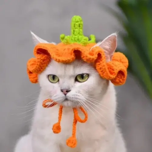 Hand-Crocheted Pumpkin Cat Hat – Adorable Halloween Pet Costume Headwear