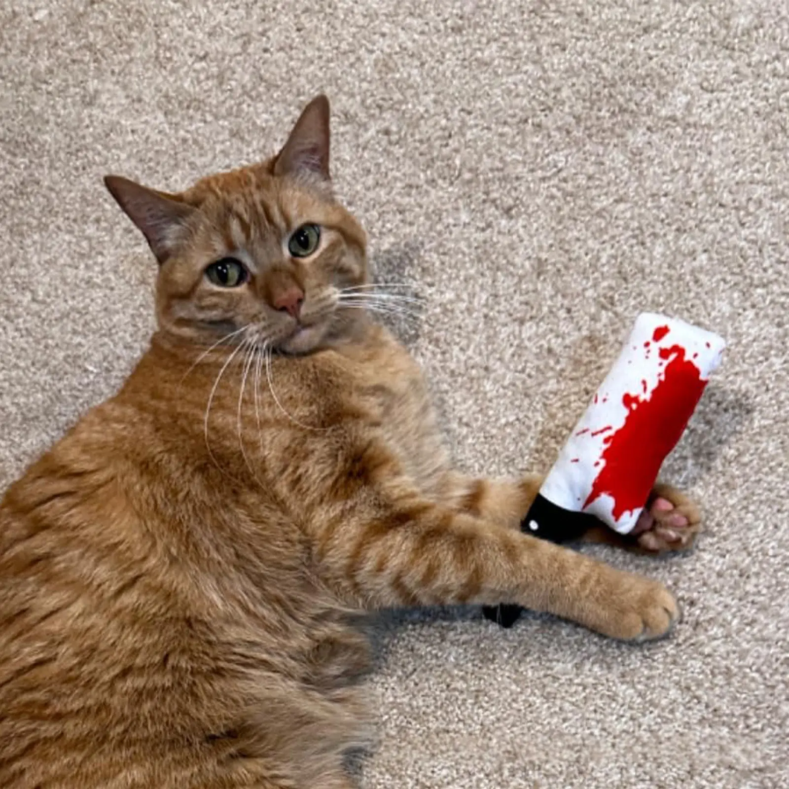 Spooky Halloween Plush Catnip Cat Toy - Interactive Squeaky Weapon & Tool Toys for Cats